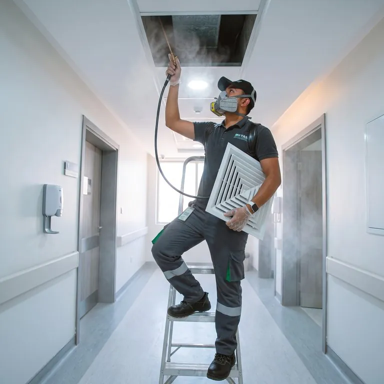 Pest Control in Madinah, Makkah, and Jeddah