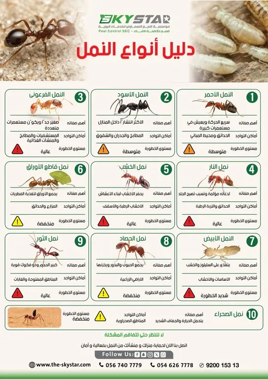 Ant control in homes and gardens