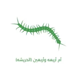 شركة في مكافحة حشرات المدينة المنورة جدة نقدم خدمات ارخص الأسعار - الصراصير والقوارض النمل الأبيض مع ضمان 920015313+