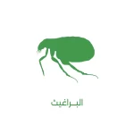 شركة في مكافحة حشرات المدينة المنورة جدة نقدم خدمات ارخص الأسعار - الصراصير والقوارض النمل الأبيض مع ضمان 920015313+