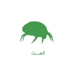 شركة في مكافحة حشرات المدينة المنورة جدة نقدم خدمات ارخص الأسعار - الصراصير والقوارض النمل الأبيض مع ضمان 920015313+